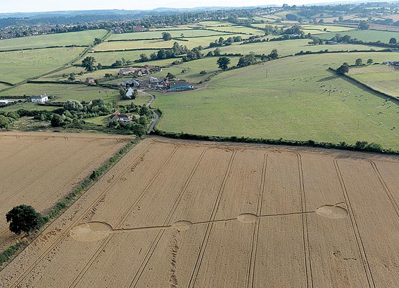 crop circle at Mudford | August 06 2010