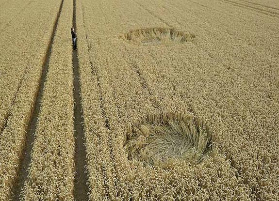 crop circle at Yatesbury | August 06 2010