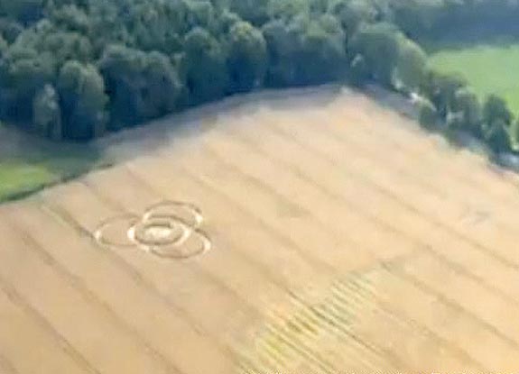 crop circle at Zeven | August 07 2010