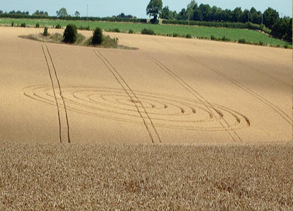 crop circle at Langton | August 08 2010