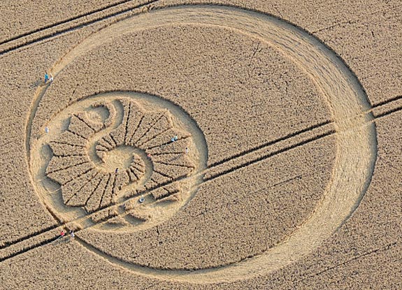 crop circle at Stanton Bridge | August 08 2010