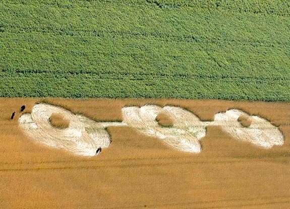 crop circle at Zeven | August 07 2010
