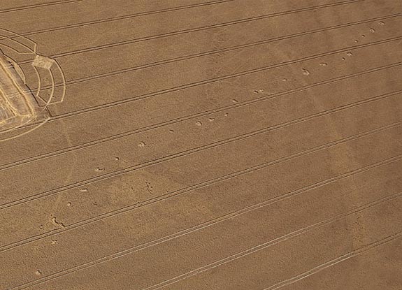 crop circle at Horton | August 09 2010