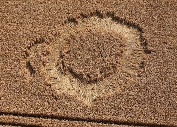 crop circle at Stanton St Bernard | August 09 2010