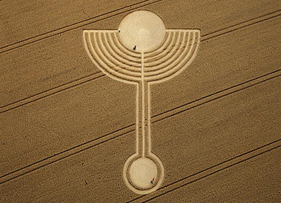 crop circle at Northdown | August 13 2010