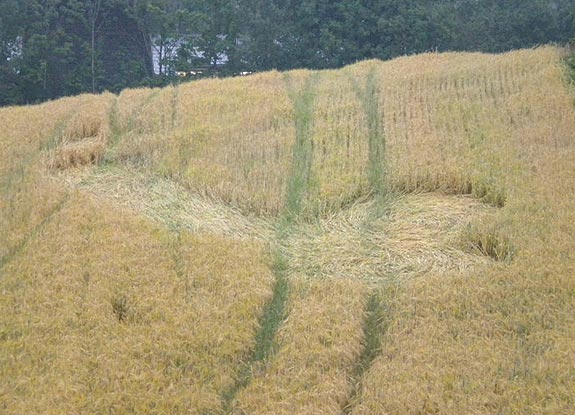 crop circle at Akser | August 14 2010