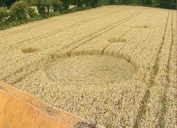 crop circle at St Andrews | August 23 2010
