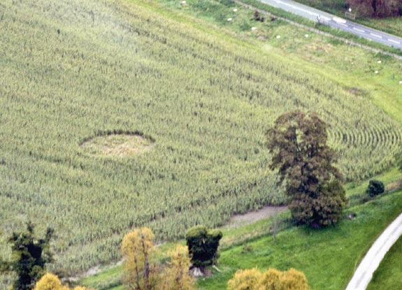 crop circle at Avebury Manor | August 27 2010