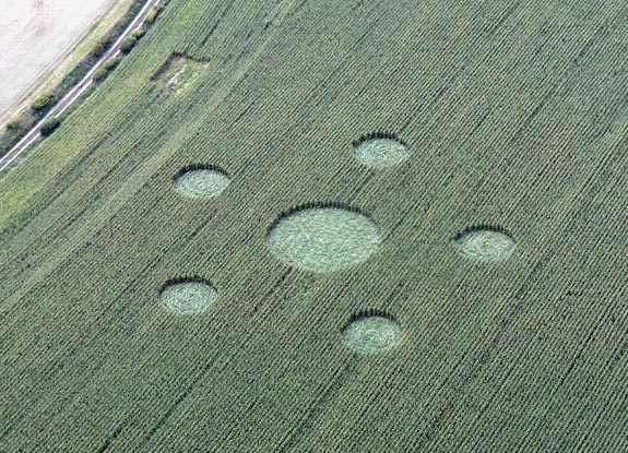 crop circle at Overton Hill | September 26 2010