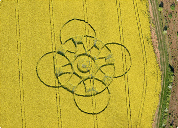 crop circle at Innage | April 22 2011