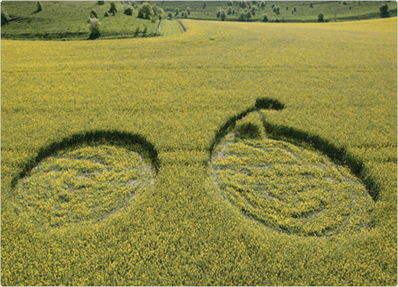 crop circle at Alton Barnes | April 27 2011