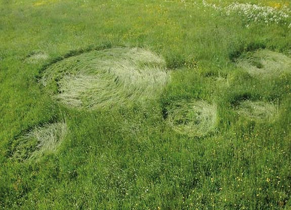 crop circle at Hoeven | April 28 2011