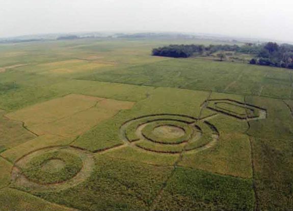 crop circle at Cikarang | May 04 2011