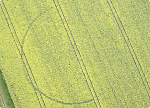 crop circle at Hannington | May 07 2011