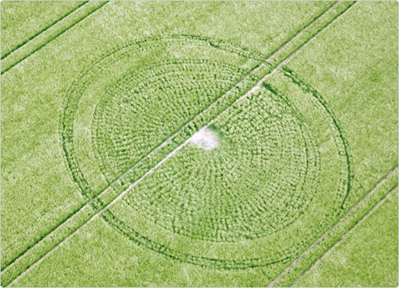 crop circle at East Kennett | May 17 2011