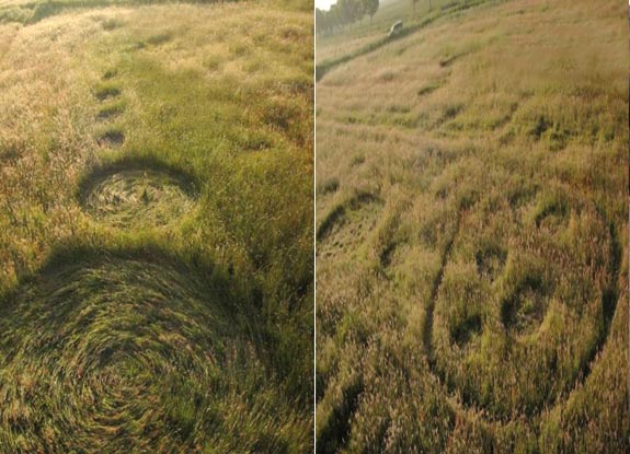 crop circle at Hoeven | May 21 2011