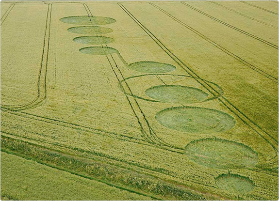 crop circle at Avebury | May 28 2011