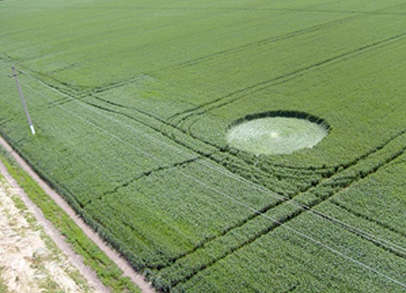 crop circle at Novoaleksandrovsk | May 30 2011