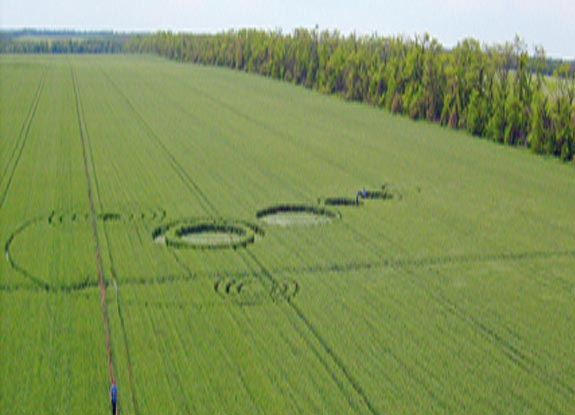 crop circle at Novoaleksandrovsk | May 30 2011