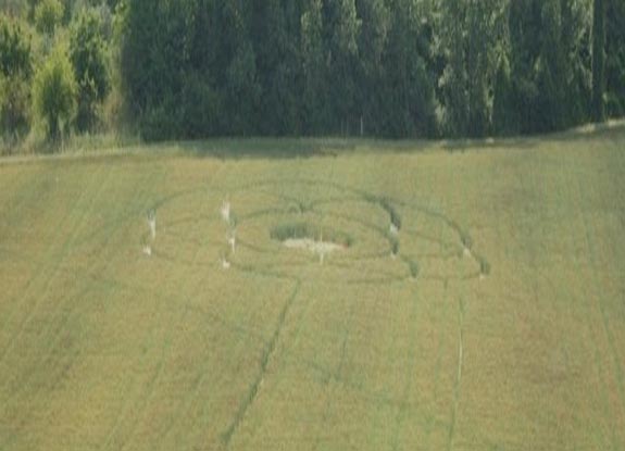 crop circle at Jesi | June 01 2011