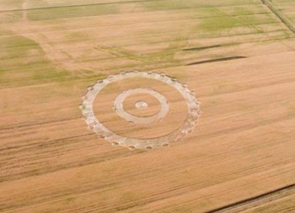 crop circle at Braccagni | June 03 2011