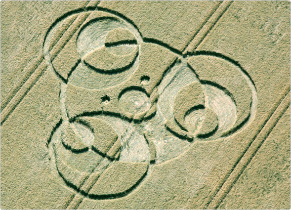 crop circle at Kingstone Coombes | June 09 2011