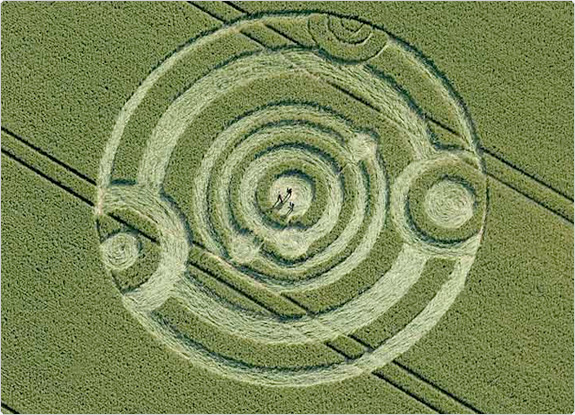 crop circle at Cow Drove Hill | June 18 2011