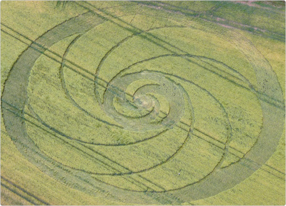 crop circle at Worlaby | June 18 2011