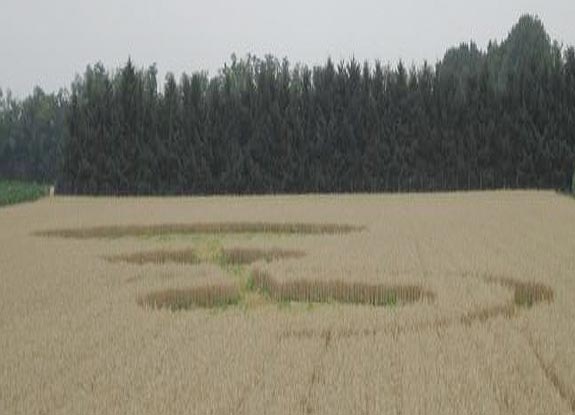 crop circle at Bienate | June 21 2011
