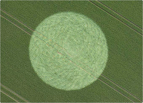 crop circle at Stanton St Bernard | June 21 2011