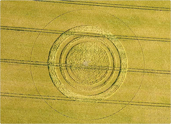 crop circle at East Kennett | May 23 2011