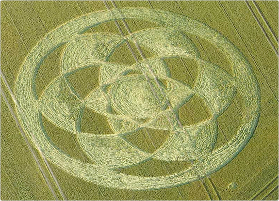 crop circle at Fonthill Down | June 27 2011