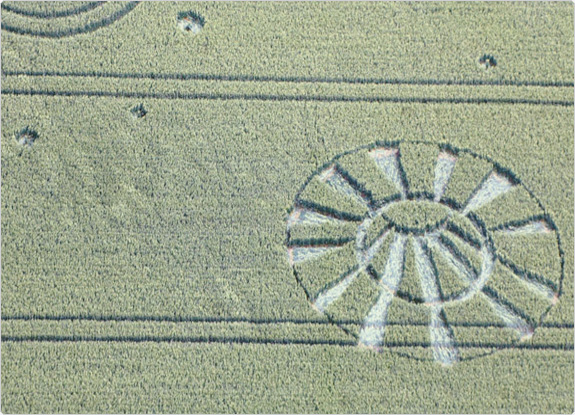 crop circle at Allington | June 28 2011
