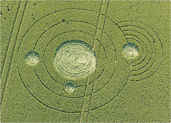 crop circle at Allington | June 28 2011