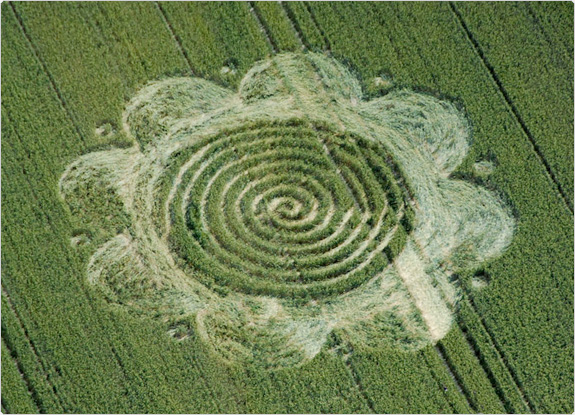 crop circle at Charlbury Hill | June 29 2011