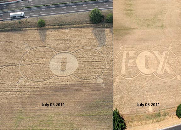 crop circle at Tor di Sordi | July 03 2011
