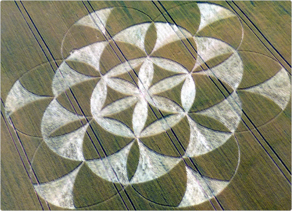 crop circle at Walmsgate | July 03 2011