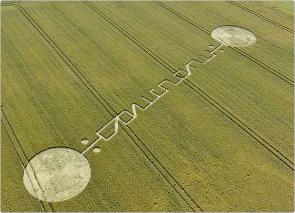 crop circle at Honeystreet | July 04 2011