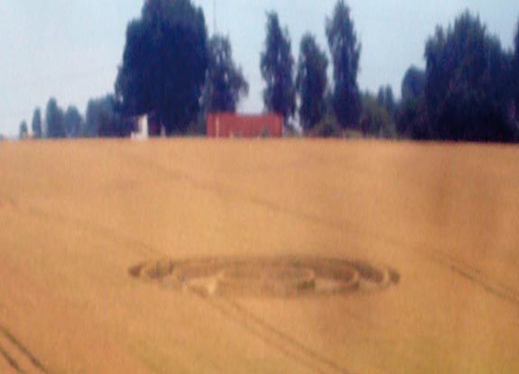 crop circle at Momalle | July 09 2011