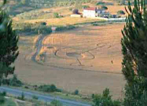 crop circle at Bagnara | July 09 2011