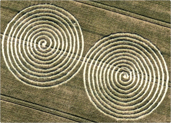 crop circle at Chaddenwick Hill | July 13 2011