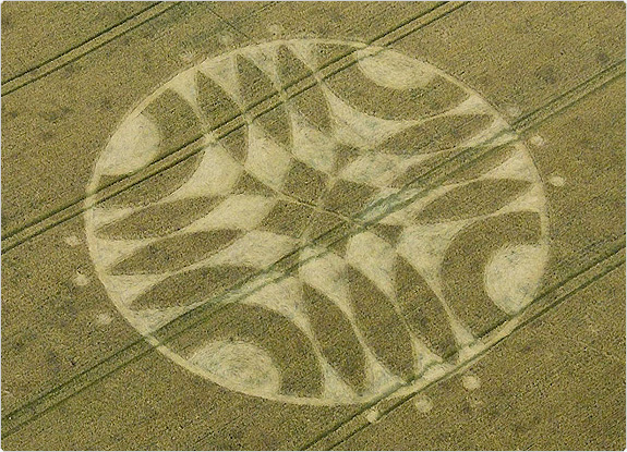 crop circle at Overton Down | July 18 2011