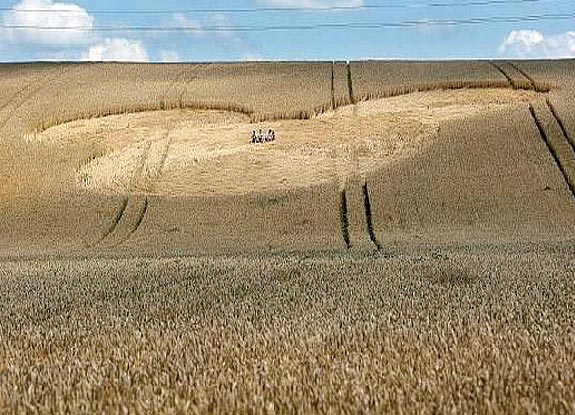 crop circle at Velesovice | July 20 2011