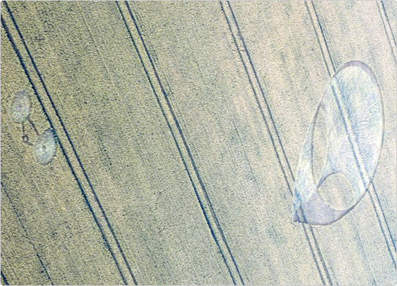 crop circle at Charlbury Hill | July 20 2011