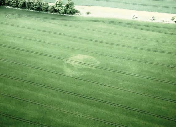 crop circle at Charlbury Hill | July 20 2011