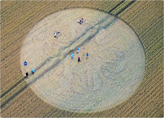 crop circle at Cherhill Down | July 20 2011