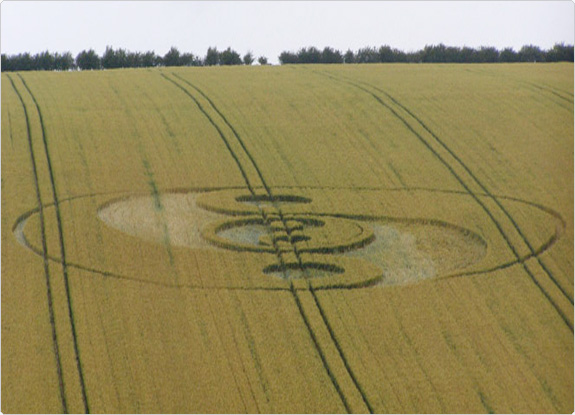 crop circle at Dovendale Longbarrow | July 20 2011