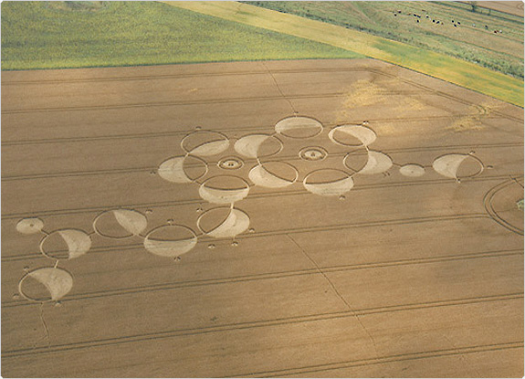 crop circle at Roundway Hill | July 23 2011