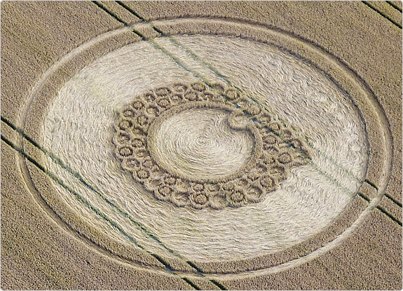 crop circle at Roundway Hill | July 25 2011