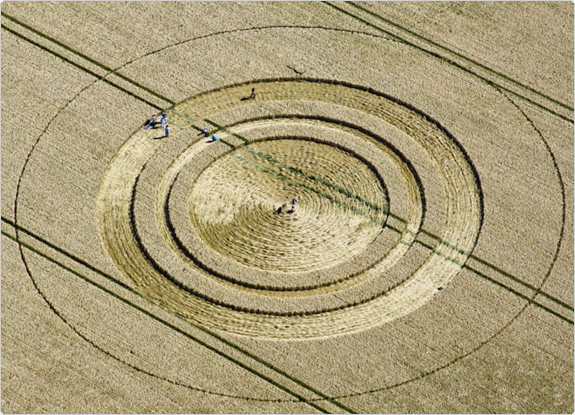 crop circle at West Kennett | July 25 2011